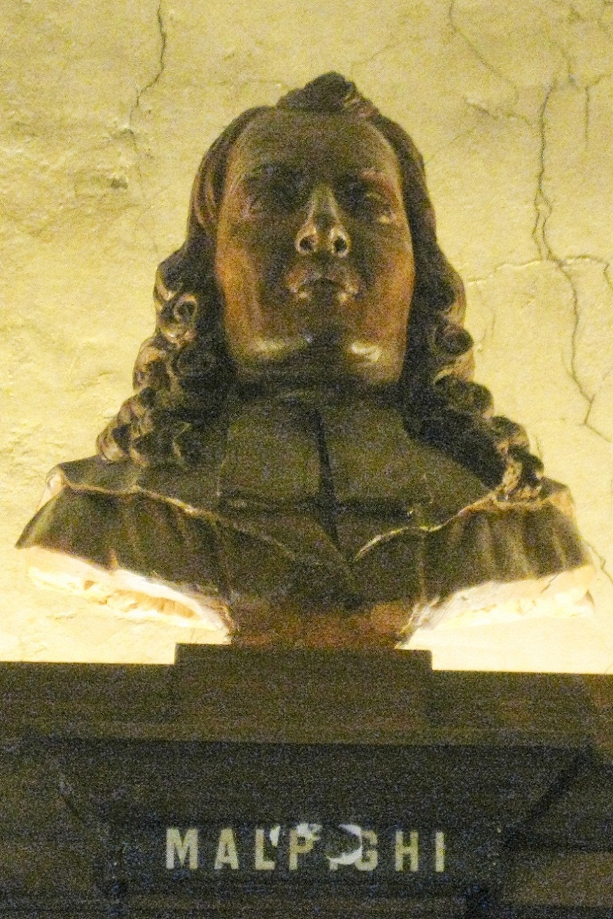 The library of Accademia Lancisiana  (8).jpg